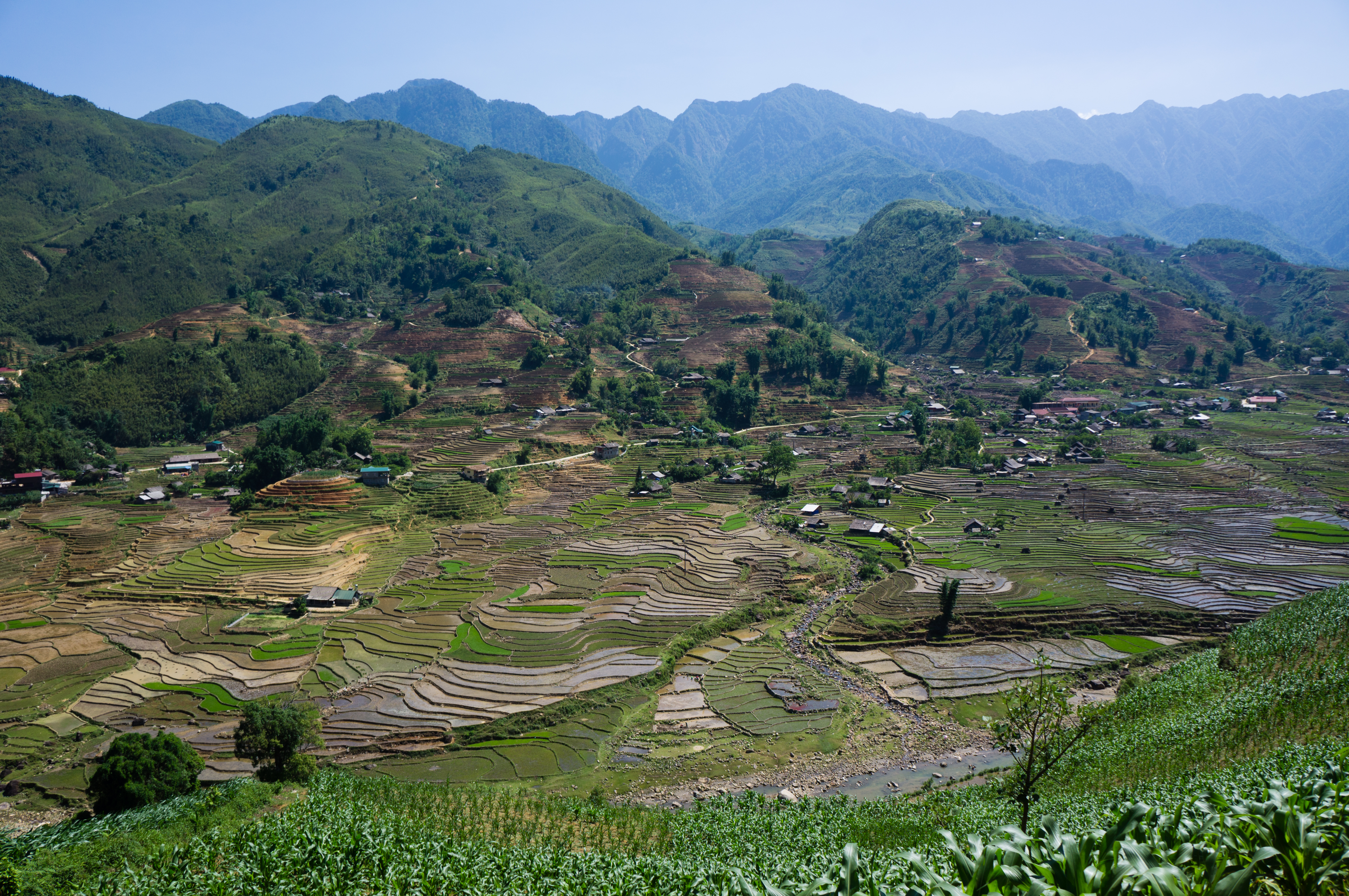 Sapa, 2017