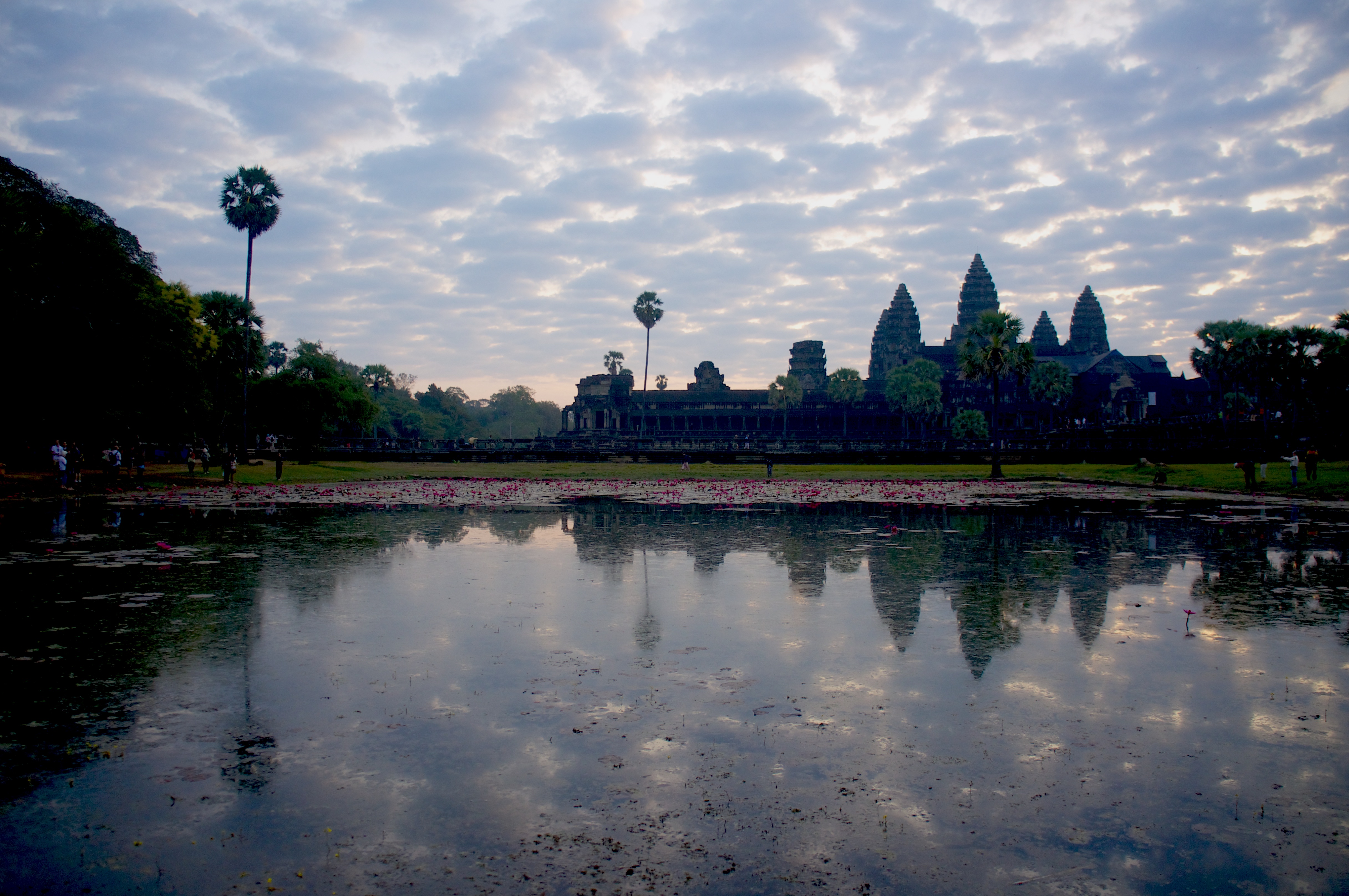 Siem Reap, 2014
