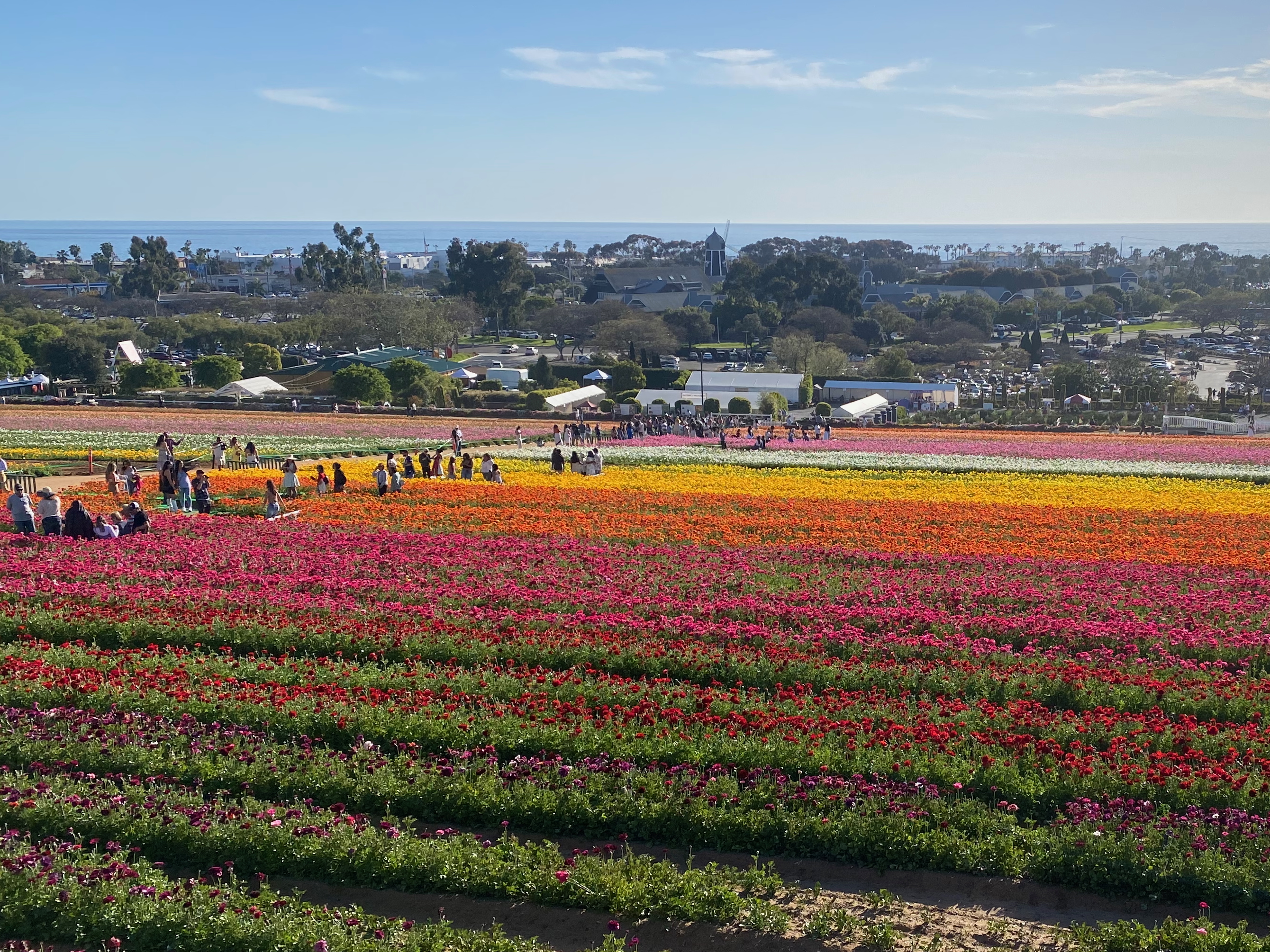 Carlsbad, April 2025