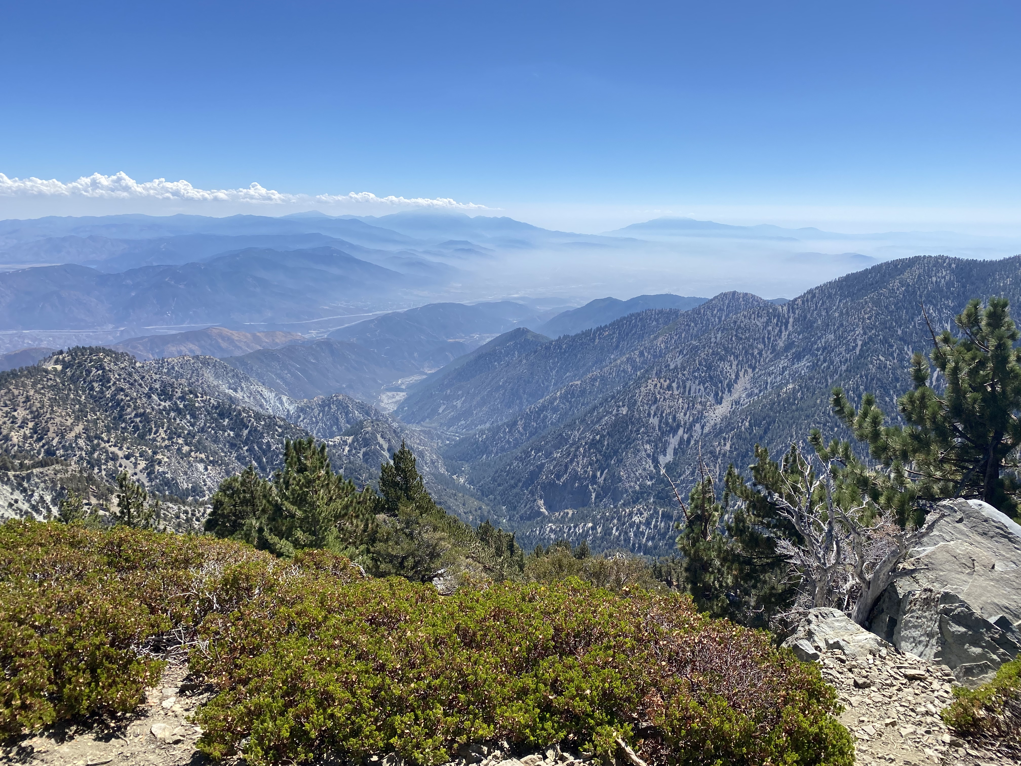Cucamonga Wilderness, 2022